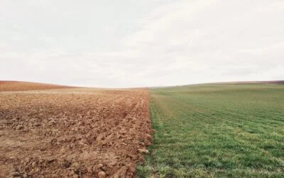 Regenerative agriculture: future-proofing Australian farms