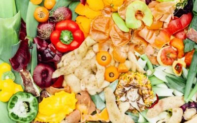 How to reduce food waste – innovation and investment are key