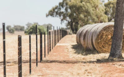 It’s probably time to upgrade your exclusion fencing