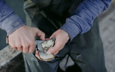 Smart technology gives oyster farming a digital transformation
