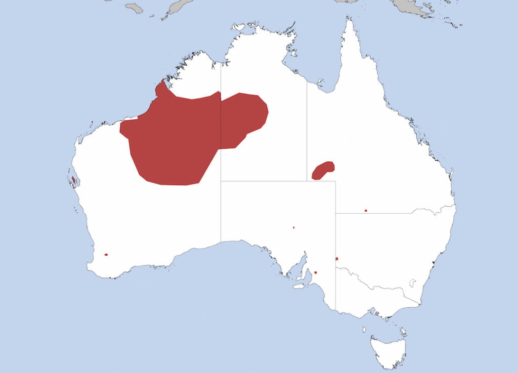 Locations of where the bilby is found in Australia