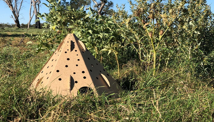 Flat-pack pods give wildlife a post-bushfire fighting chance of survival