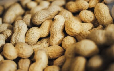 How researchers are saving the peanut industry