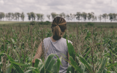 Meet the winners of the 2023 Agrifutures Rural Women’s Award