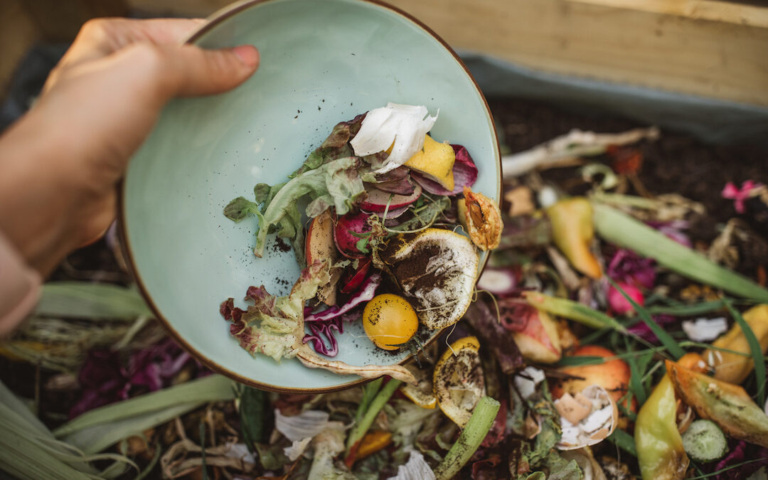 Goterra’s approach to tackling food waste