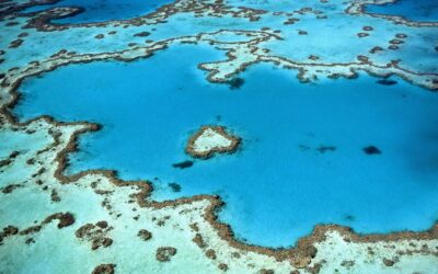 The Great Barrier Reef: A jewel under threat