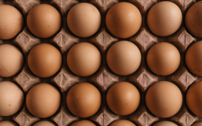 Australia’s egg supply at risk from bird flu
