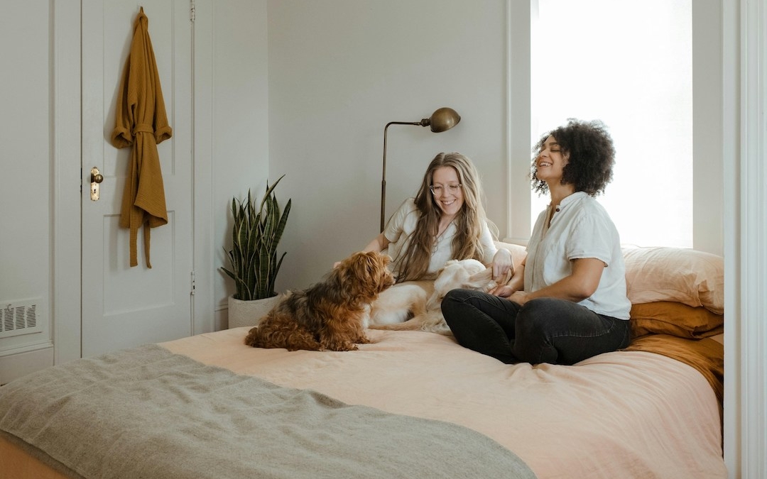 How to buy a pet-friendly home